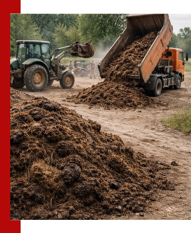 Доставка навоза самосвалами в Надыме для сельхозпотребностей