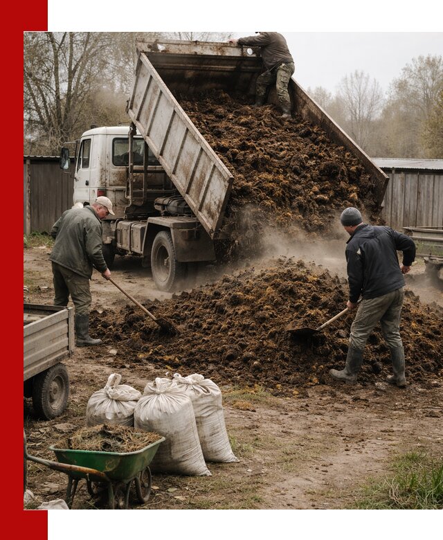 Доставка коровьего навоза самосвалом в Надыме
